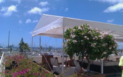 the Edition Hotel