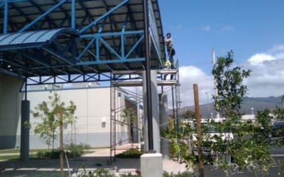 Goodwill Upper Canopy