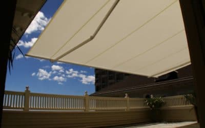 Moana Surfrider