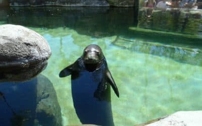 Aquarium