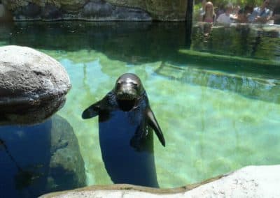 Aquarium