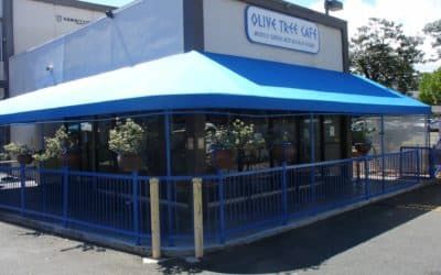 the Olive Tree