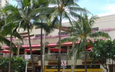 Cheeseburger in Paradise Waikiki