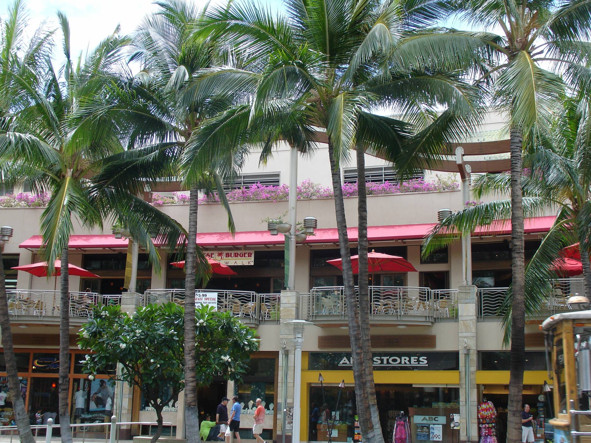 Cheeseburger in Paradise Waikiki Tropical J's