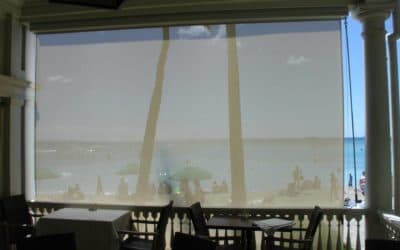 Moana Surfrider