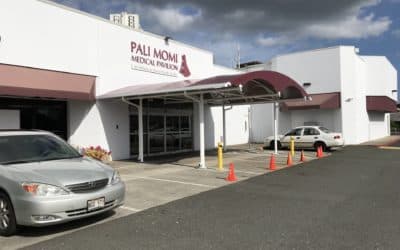 Pali Momi