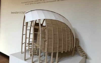 Albizia Project