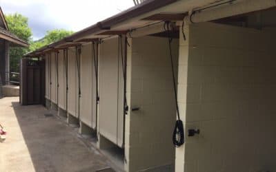 Hawaii Human Society R&P