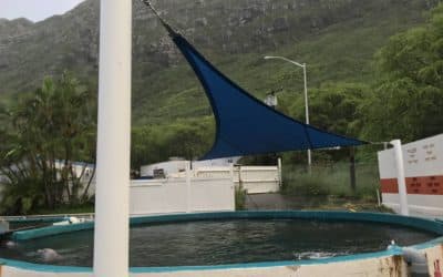 Sea Life Park 3pt Shade Sail
