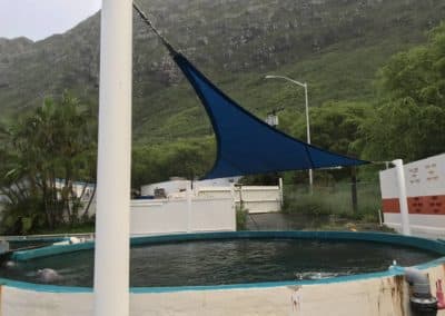 Sea Life Park 3pt Shade Sail