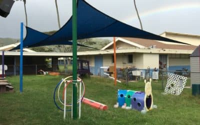 Kainalu Elementary 19469