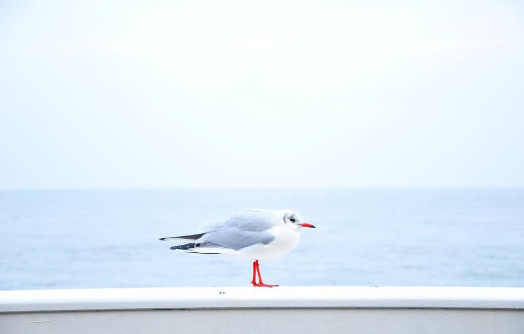 Mollitia praesentium ipsum fuga autem repudiandae ut