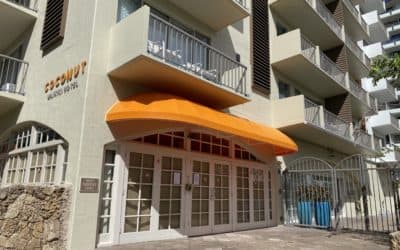 Coconut Waikiki