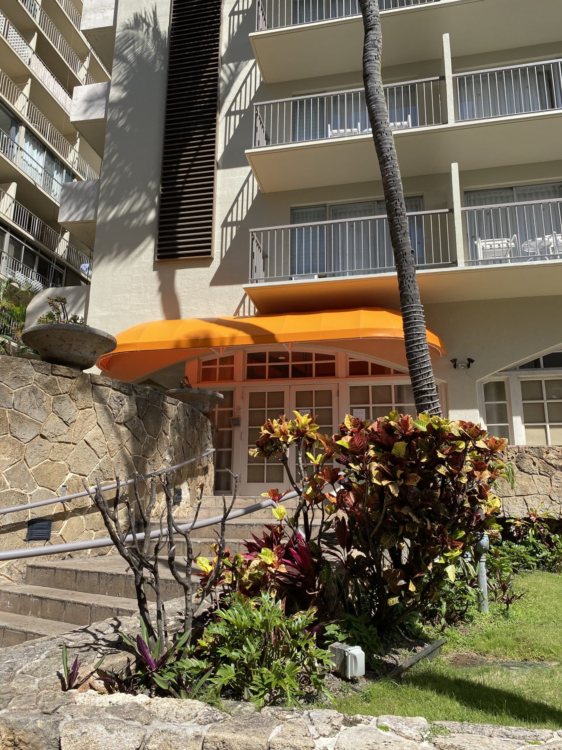 Coconut Waikiki Tropical J's