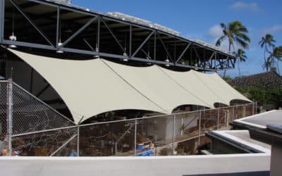Punahou School Pottery Barn