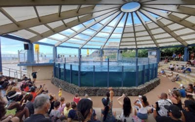 Hawaii Ocean Theater